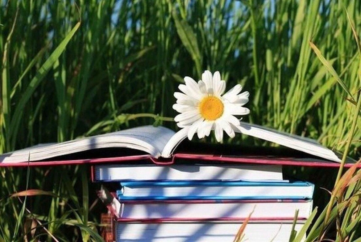 Фото для заставки книга